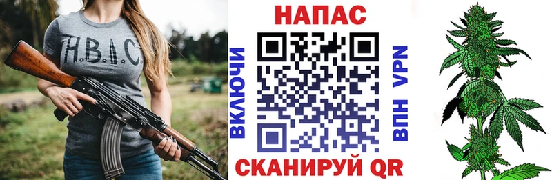 Бошки Шишки планчик Гдов